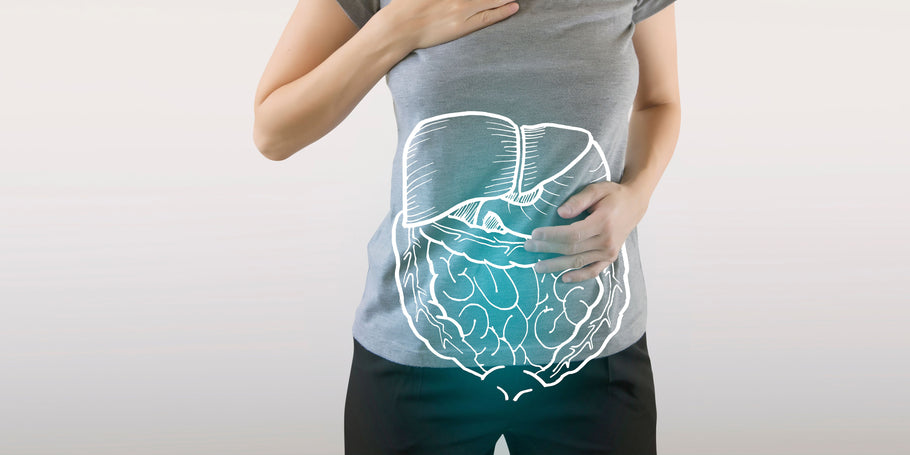 Magnesium Deficiency's Influence on Digestive Comfort