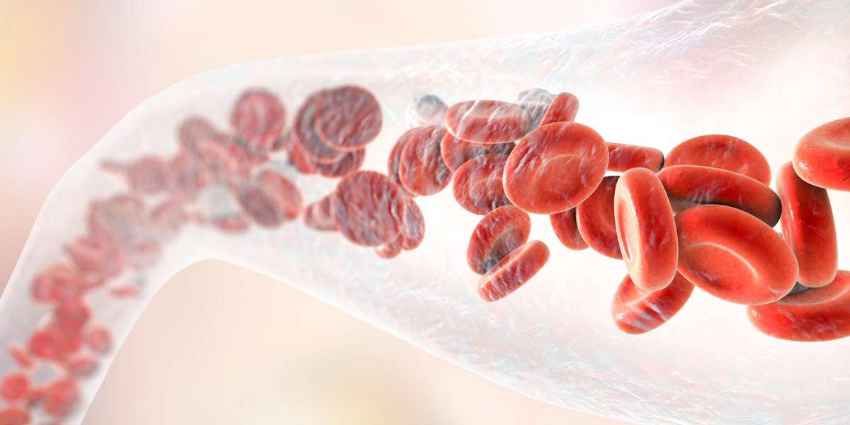 Improve Blood Circulation with Nitric Oxide Biosphere Nutrition