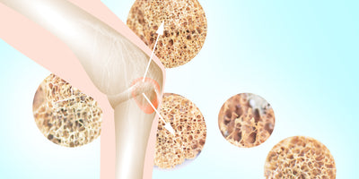 Prebiotics and Bone Density: Enhancing Calcium Absorption Naturally