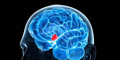 The Connection Between Sleep Deprivation and Neurodegenerative Diseases