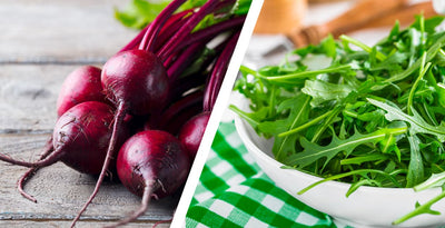 Low Nitric Oxide Symptoms: A Comprehensive Guide on Signs and Solutions for Nitric Oxide Deficiency