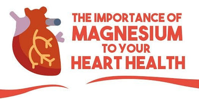 Magnesium For Heart Health [Infographic]