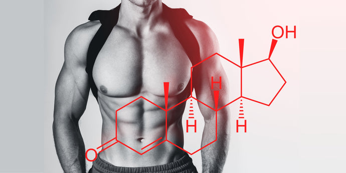 How Magnesium Boosts Testosterone Levels and Enhances Male Health