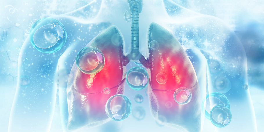 Enhancing Respiratory Function with Nitric Oxide for Better Lung Health and Oxygen Delivery