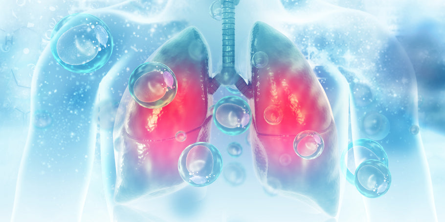 How Hydrate Supplements Support Lung Function