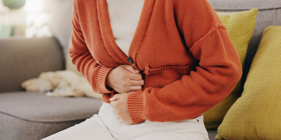 Maximising Nutrient Absorption: The Role of Prebiotics in Optimising Digestive Health