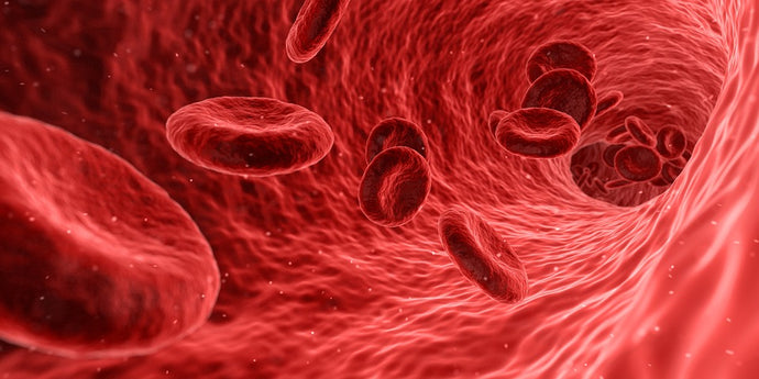 How Citrulline and Arginine Work to Boost Nitric Oxide Levels