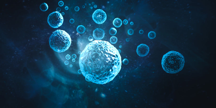 Protecting Your Cells: How Astaxanthin Supports Overall Well-Being