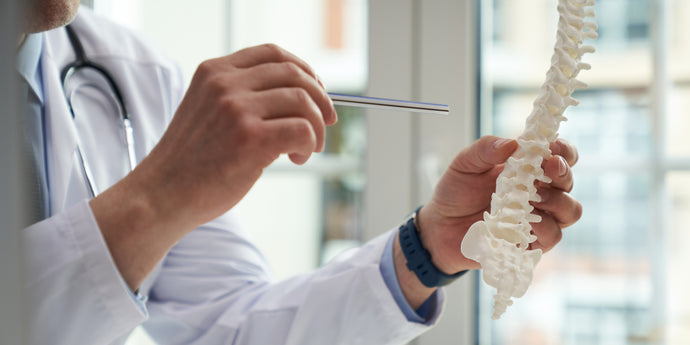 The Potential of Magnesium Supplements in Preventing Osteoporosis
