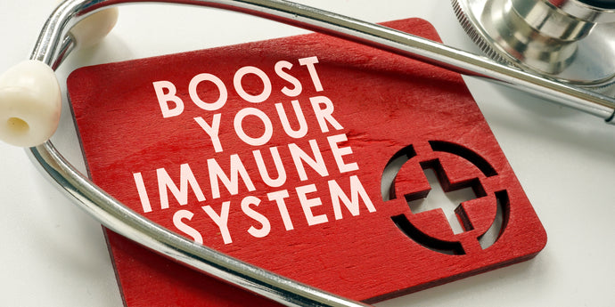 The Role in Strengthening the Immune System