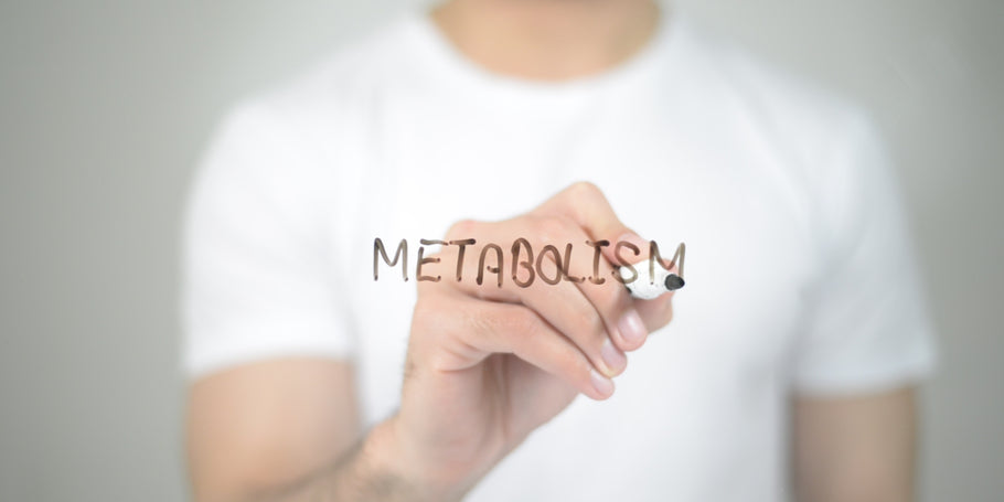 The Role of Prebiotics in Supporting a Healthy Metabolism