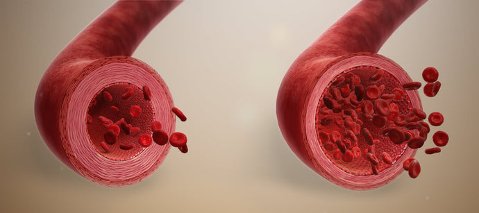 Nitric Oxide and Vasodilation: How it Works