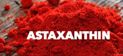 Astaxanthin Supplement Buying Guide