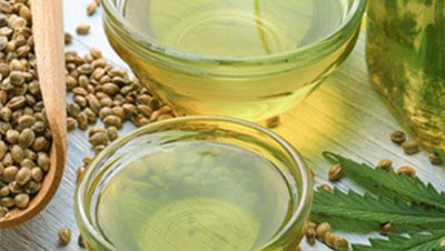 Hemp Seed Oil - What's all the hype about?
