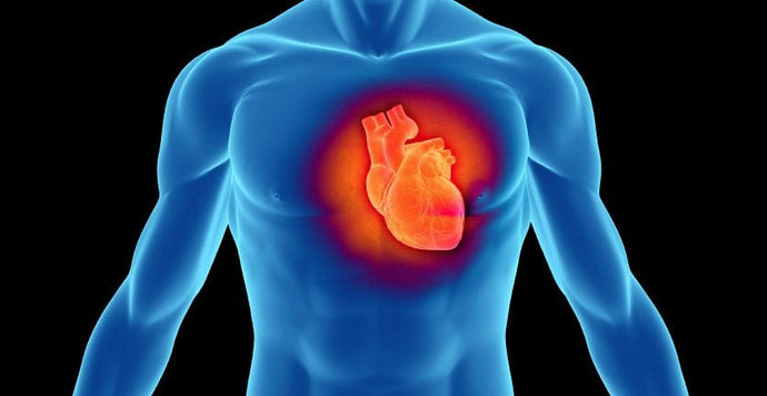 How Astaxathin Can Help Protect Your Heart.