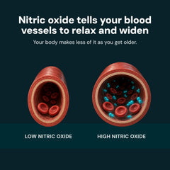 Nitric Oxide