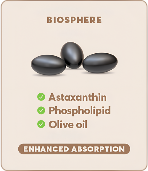 Biosphere
