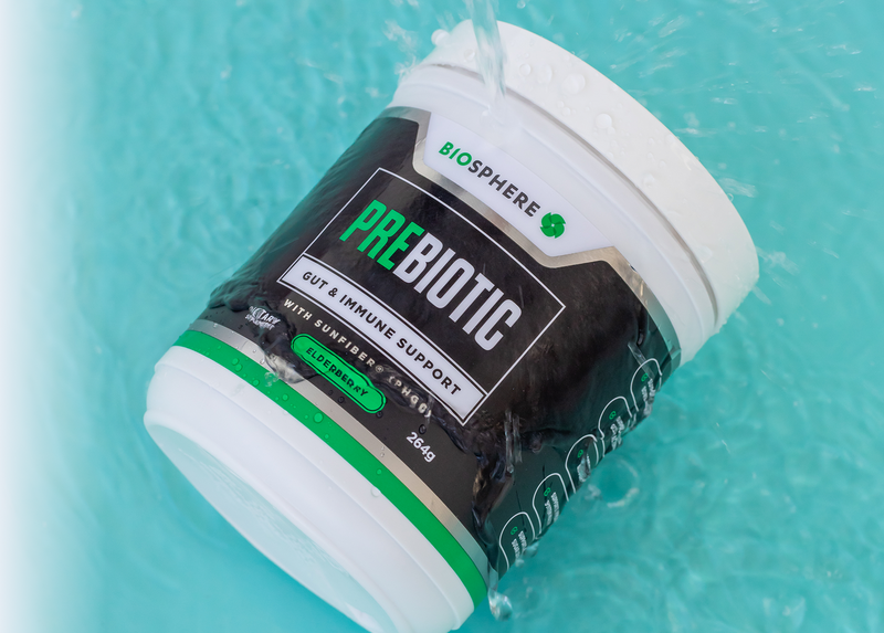 Fix Your Gut Today <br>—and Get More for Free