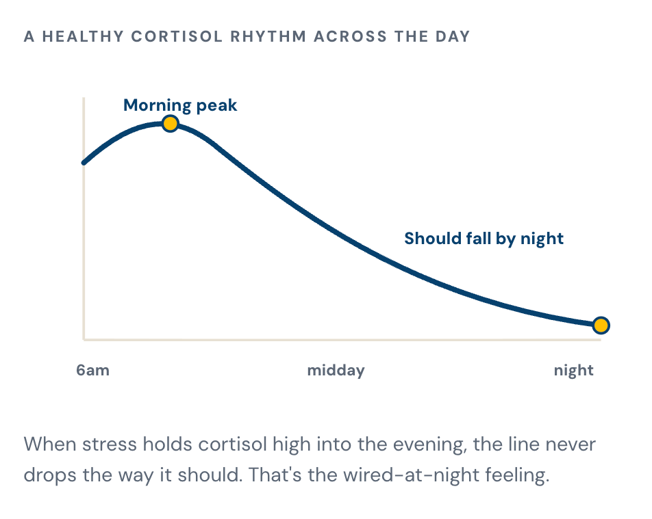 Cortisol is meant to drop at night. Stress keeps it up.