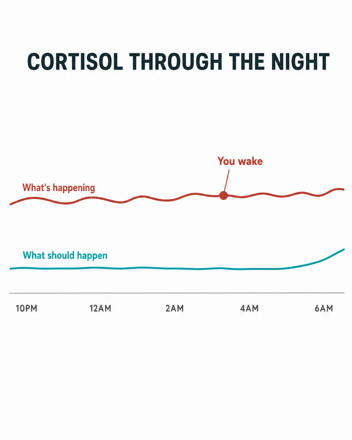 Your stress hormones don't settle overnight