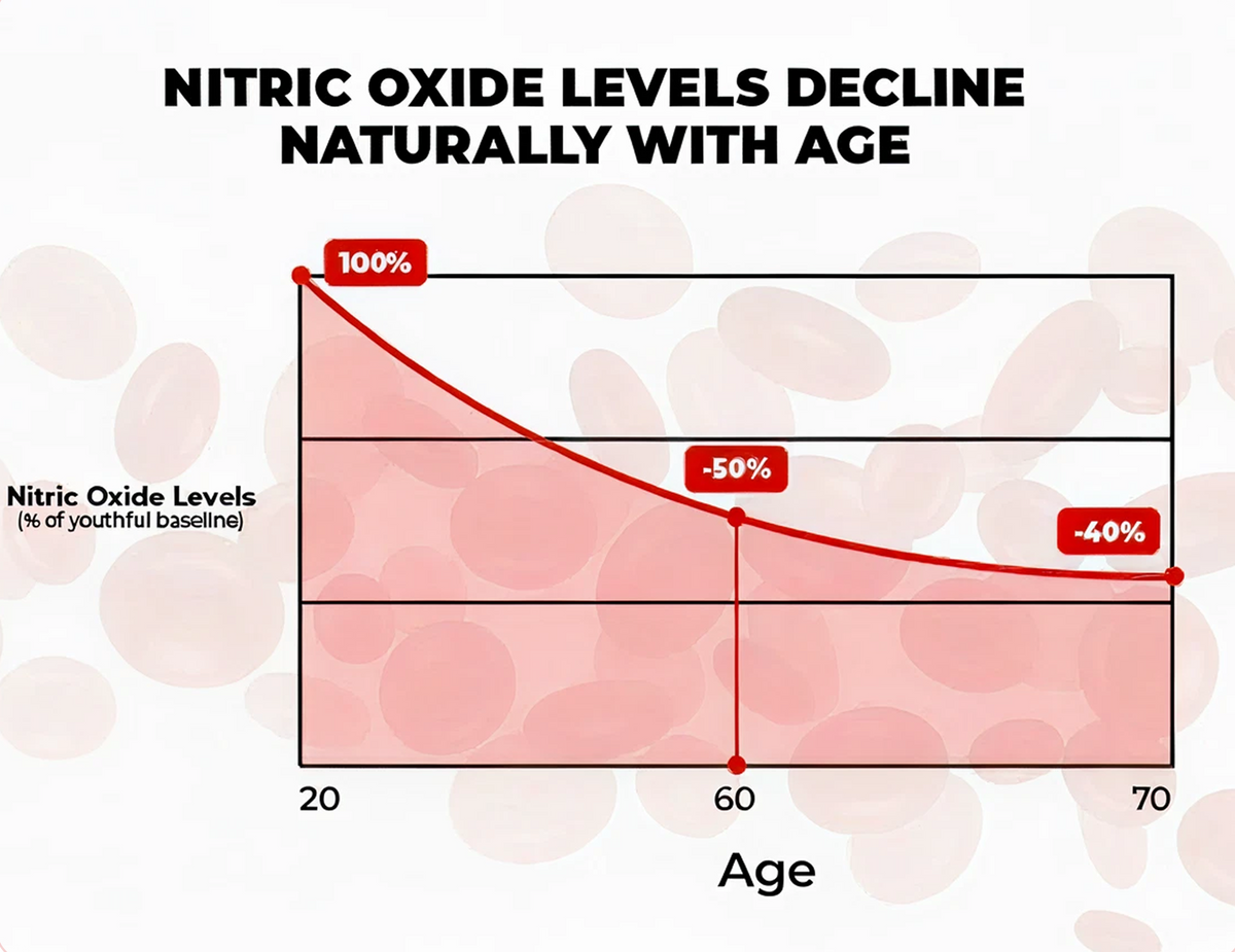 Your body makes less nitric oxide every year of your adult life.
